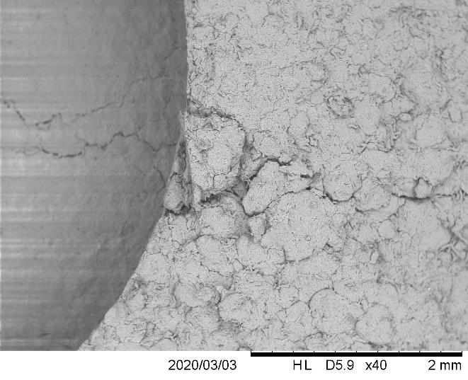 tab-in-tab SEM image