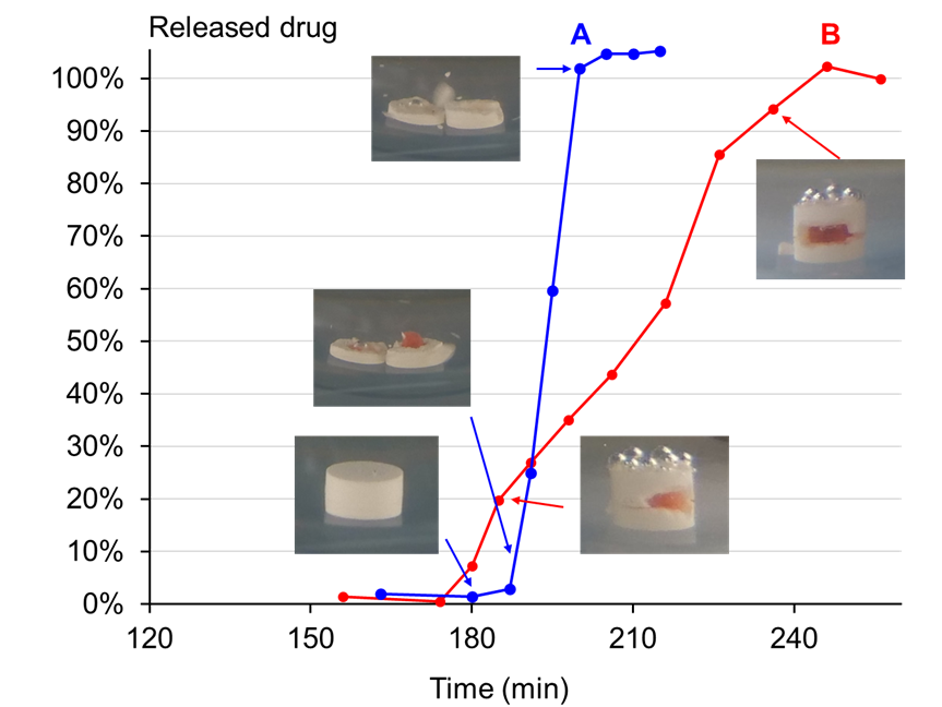 Figure 2. Drug release kenetics depending on the opening mode of the shell. Fast realease (A), slo release (B)